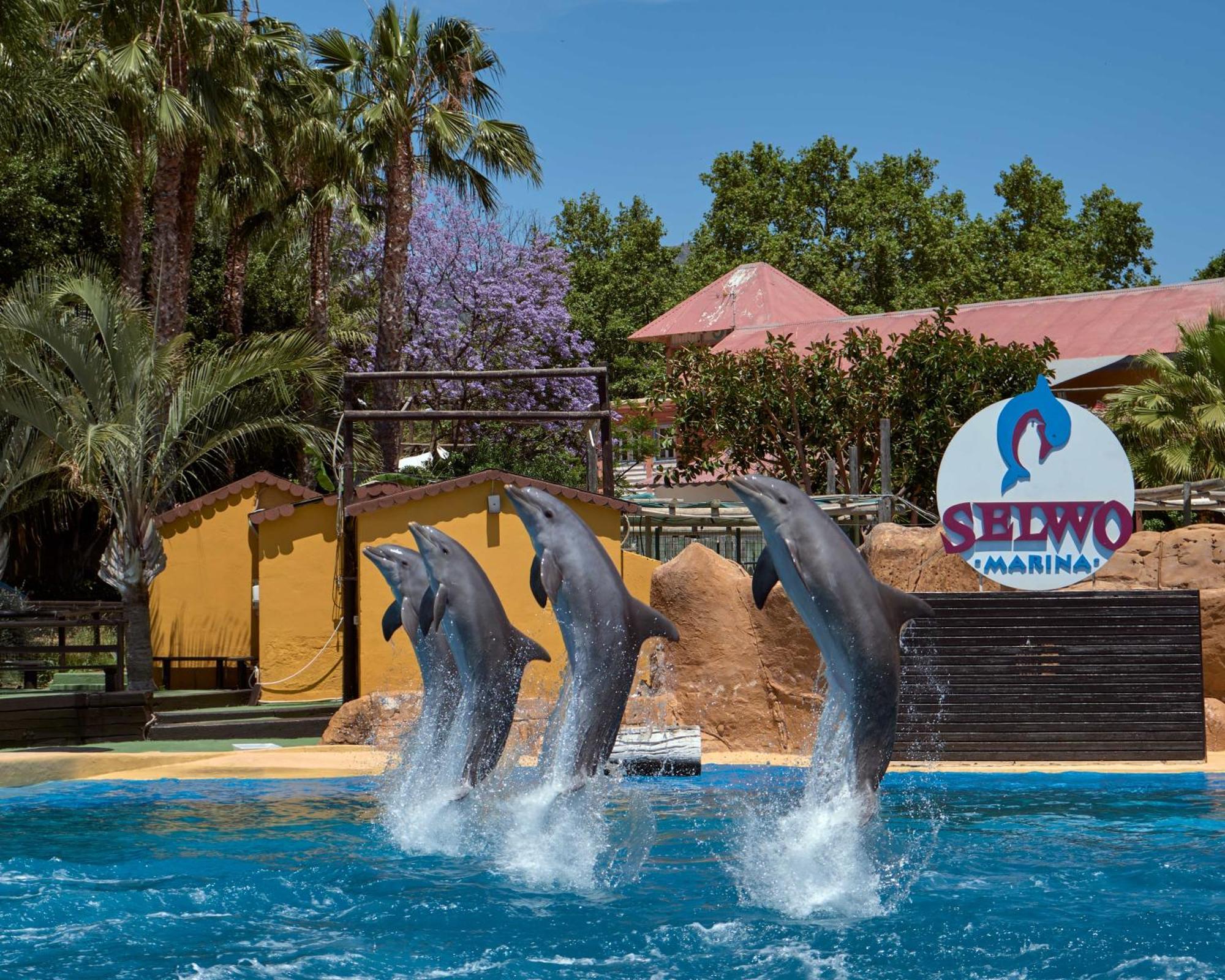 Apart With Swimming Pool Open All Year Бенальмадена Экстерьер фото